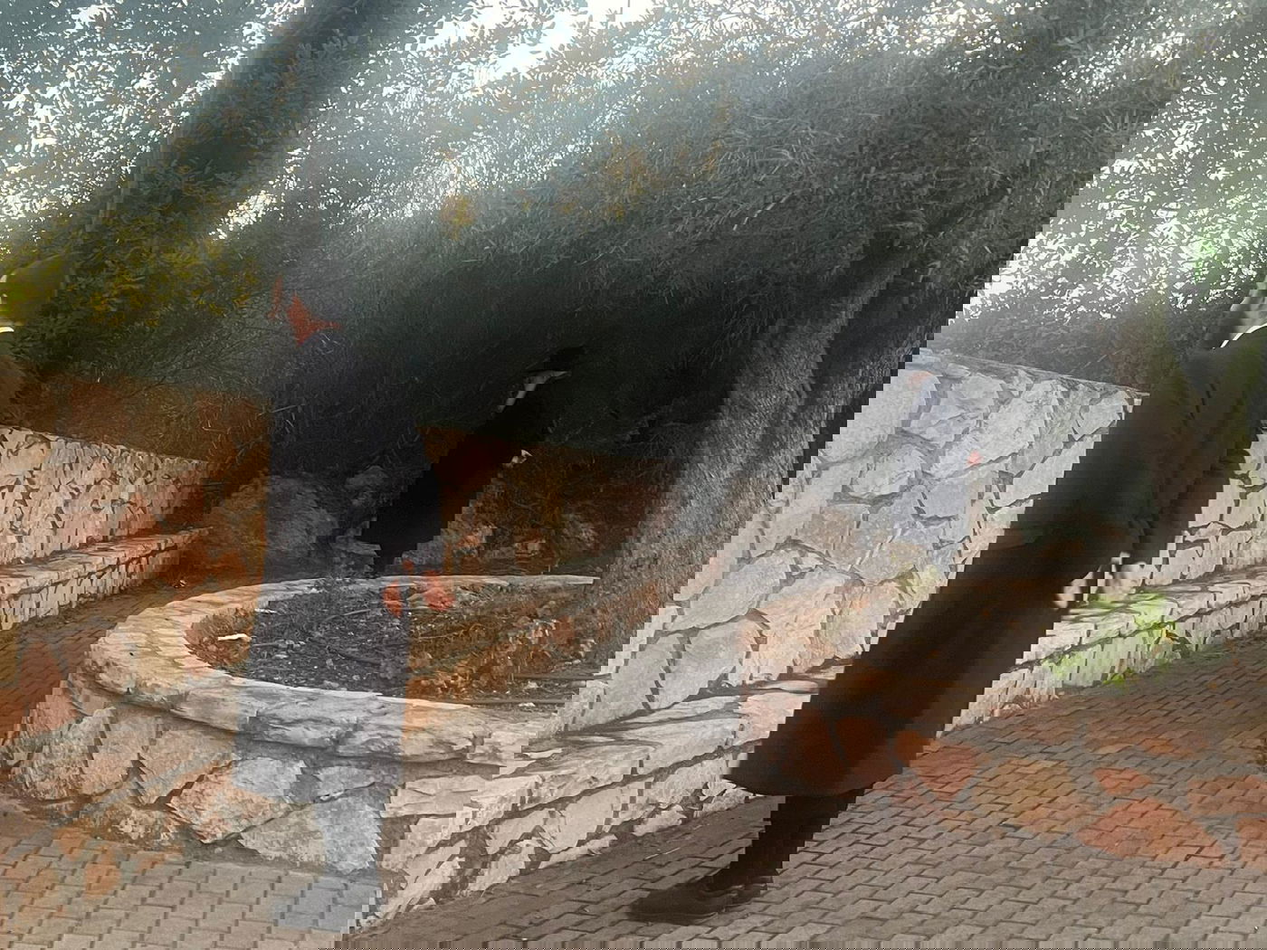 זופניק בכיכר • כל התמונות, הנייעס והחשיפות של השבוע