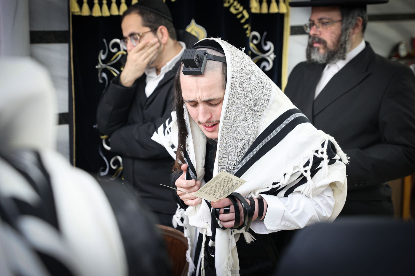 שמחת הברית בחצרות טעמשוואר - טורקא טבריה | צפו