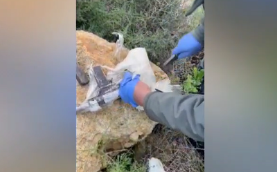 תיעוד: 13 תושבי הצפון תכננו לבצע פיגועים בישראל ונעצרו