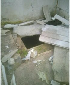 אחד הפירים שאותרו