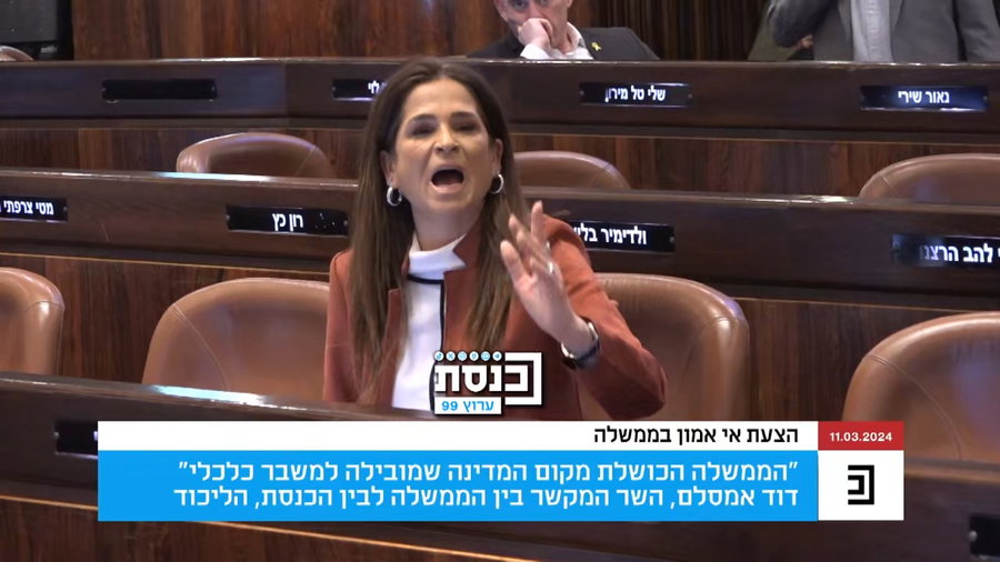 ההתפרצות של מרב בן ארי כלפי השר דודי אמסלם