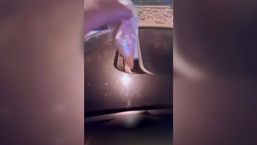 העברת הסמים | צפו