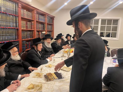 החסידים שתו לחיים בשמחת הווארט לבת רבם | תיעוד