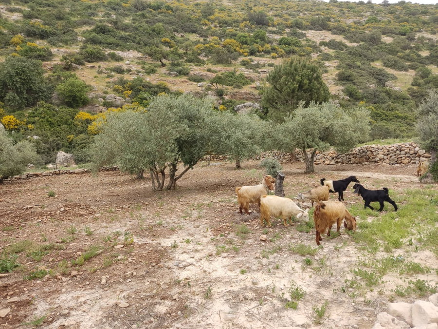 התחזית: חם ונעים ברוב חלקי הארץ | בהמשך השבוע תהיה התחממות נוספת
