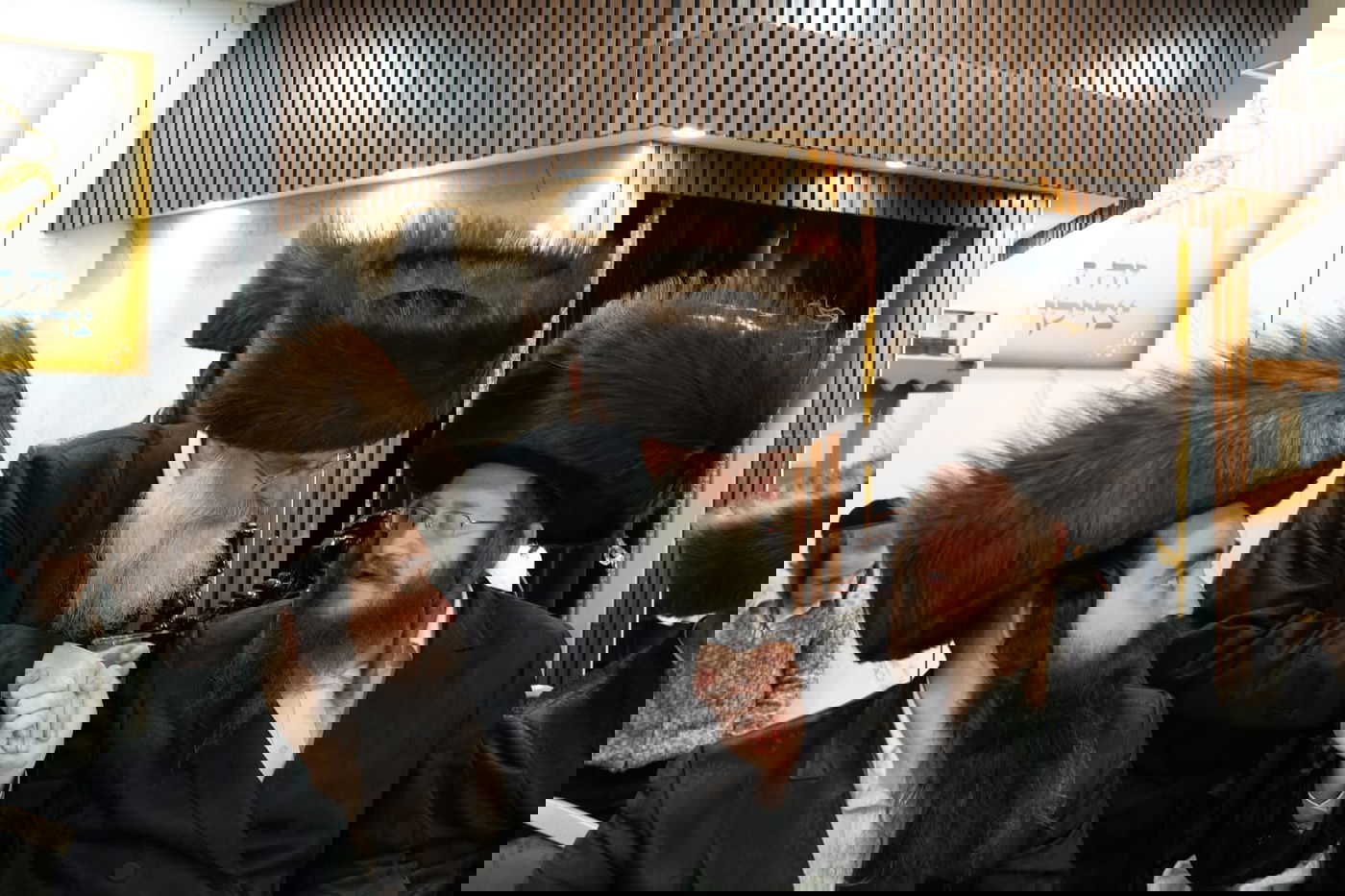 חסידות קאליב שוב מרימה את דגלה בעיר התורה והחסידות