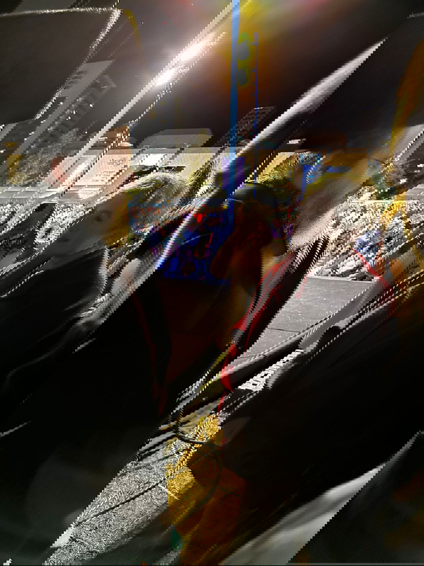 זופניק בכיכר • כל התמונות, הנייעס והחשיפות של השבוע