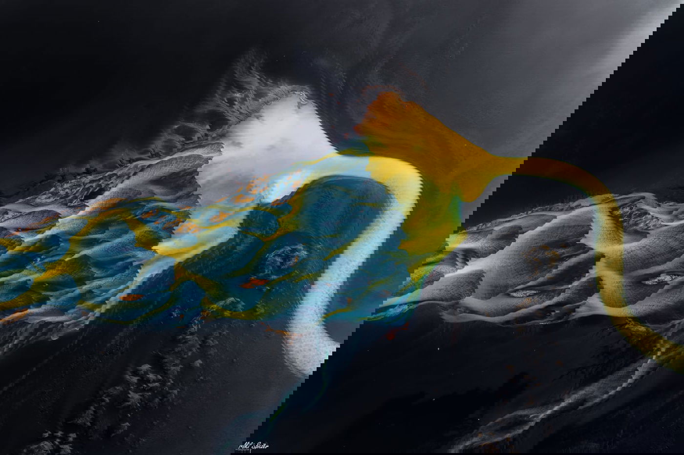 התמונה שזכתה