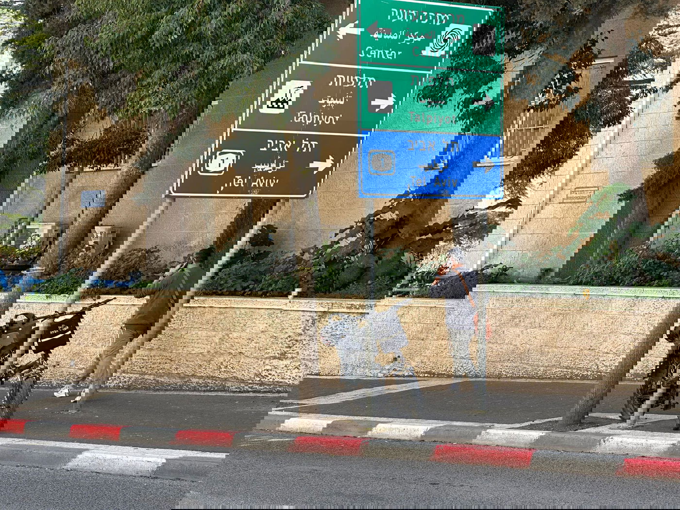 זופניק בכיכר • כל התמונות, הנייעס והחשיפות של השבוע