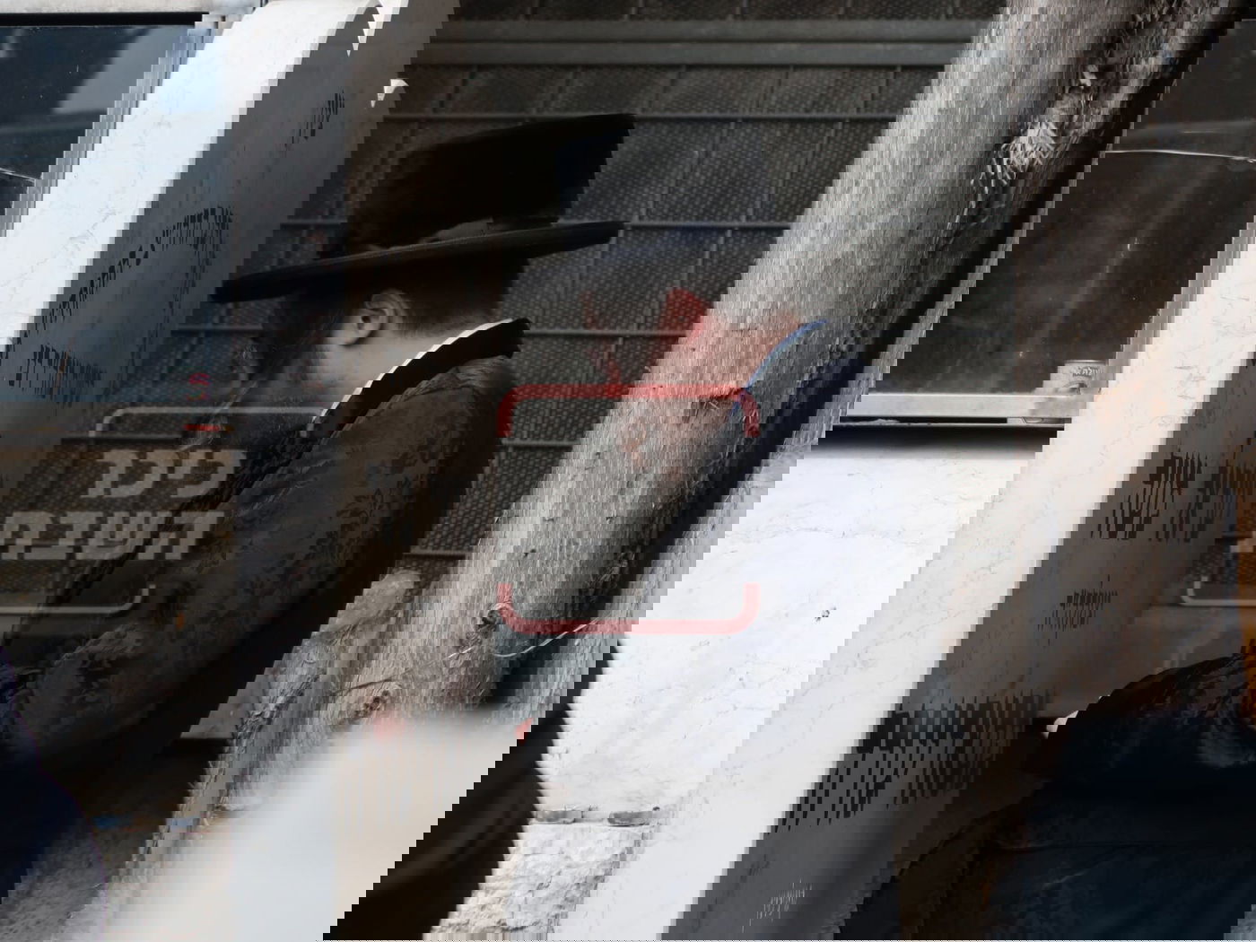 ביום היארצייט של הרבנית, נינה ממשיך נצר הקודש עלה לפקוד את קברה