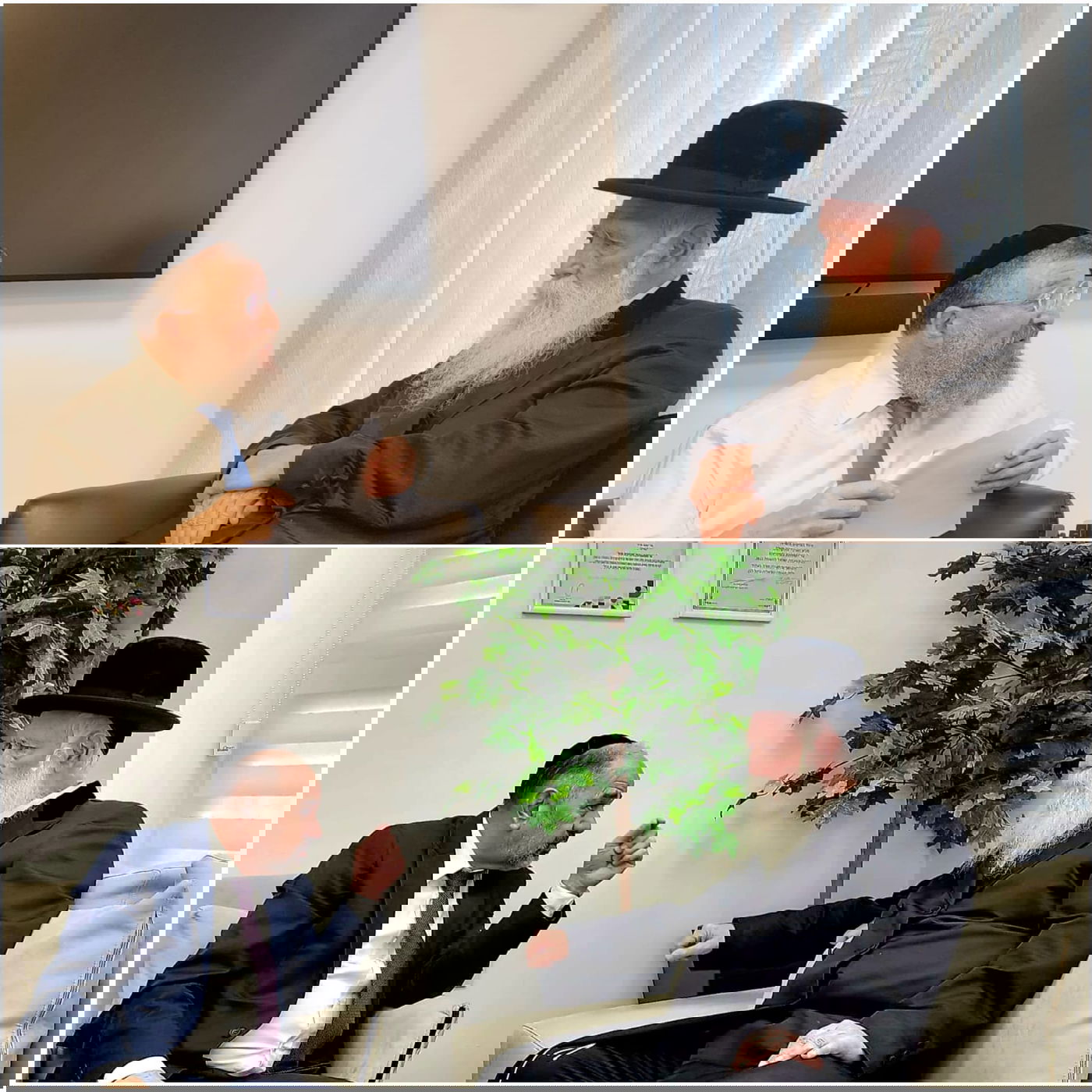 זופניק בכיכר • כל התמונות, הנייעס והחשיפות של השבוע