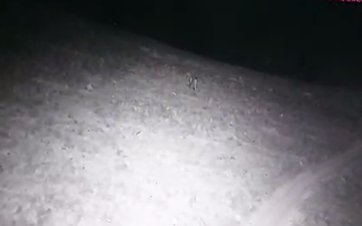 כך ניסו המחבלים לחדור ליישוב כשהם חמושים בסכינים | צפו