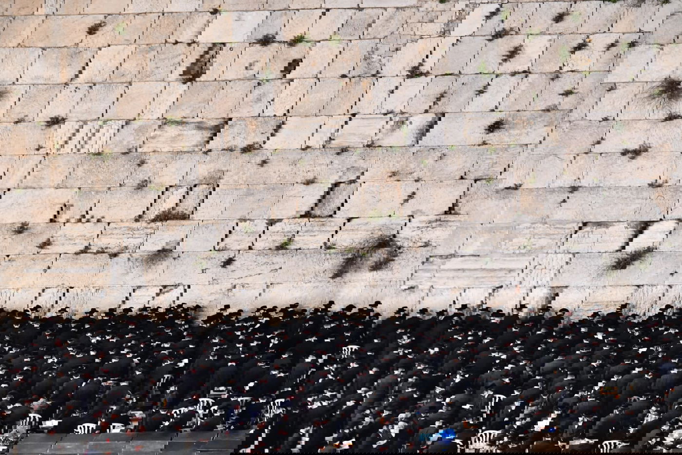 לרפואת האדמו"ר: חסידי ביאלה בעצרת תפילה בכותל המערבי