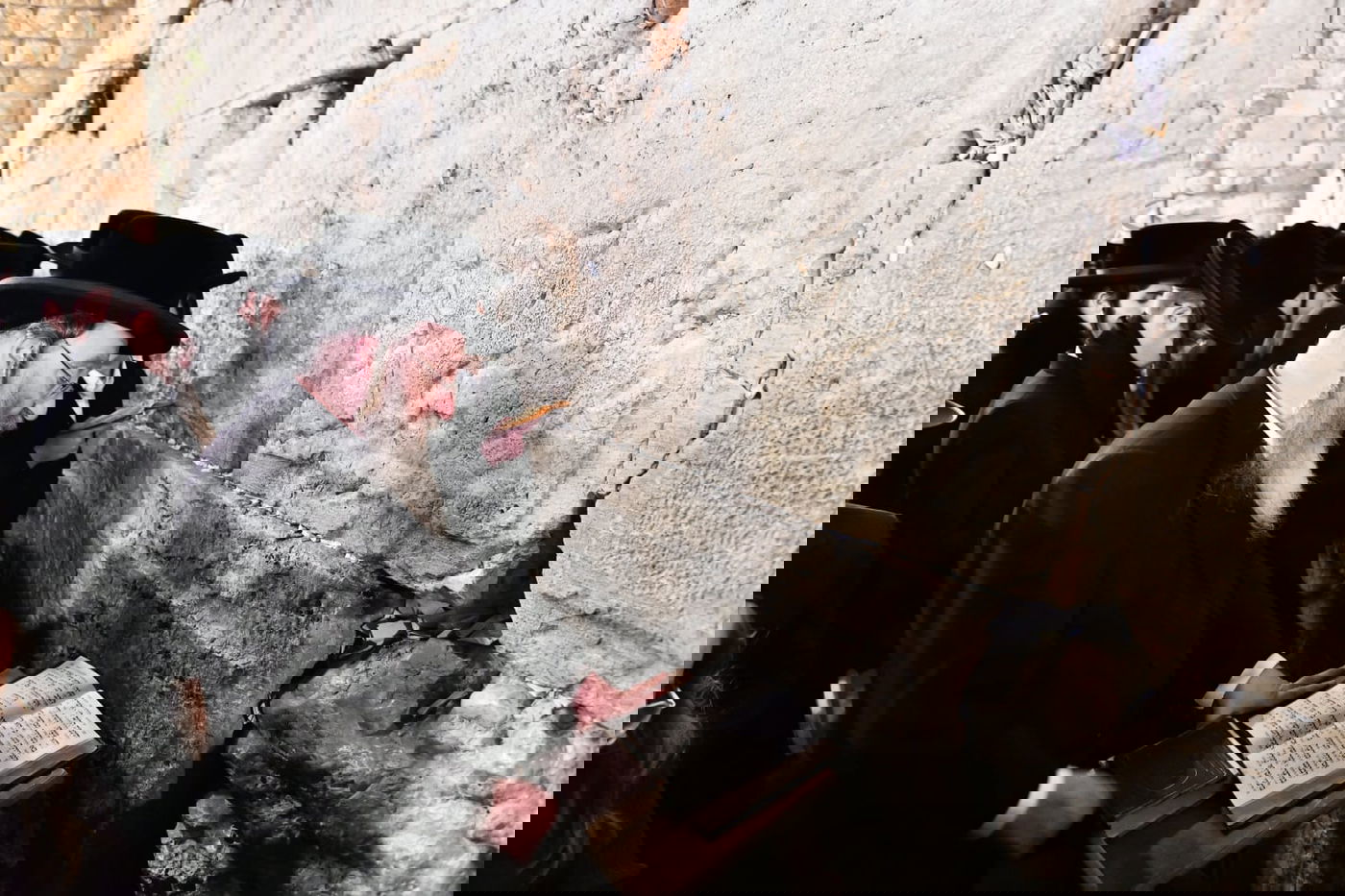 לרפואת האדמו"ר: חסידי ביאלה בעצרת תפילה בכותל המערבי