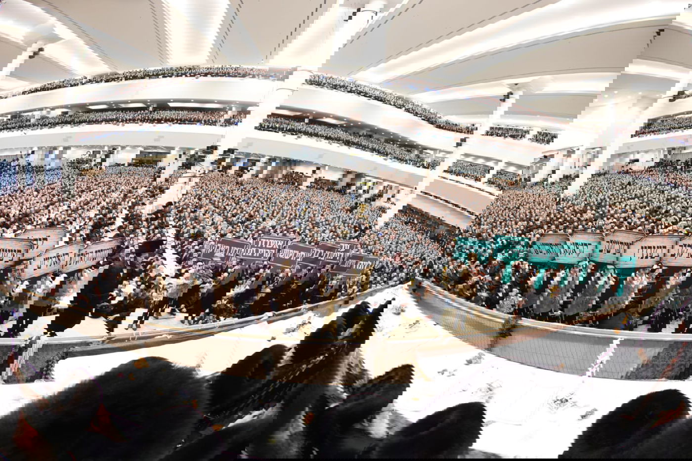 חתונת גור ביום רביעי