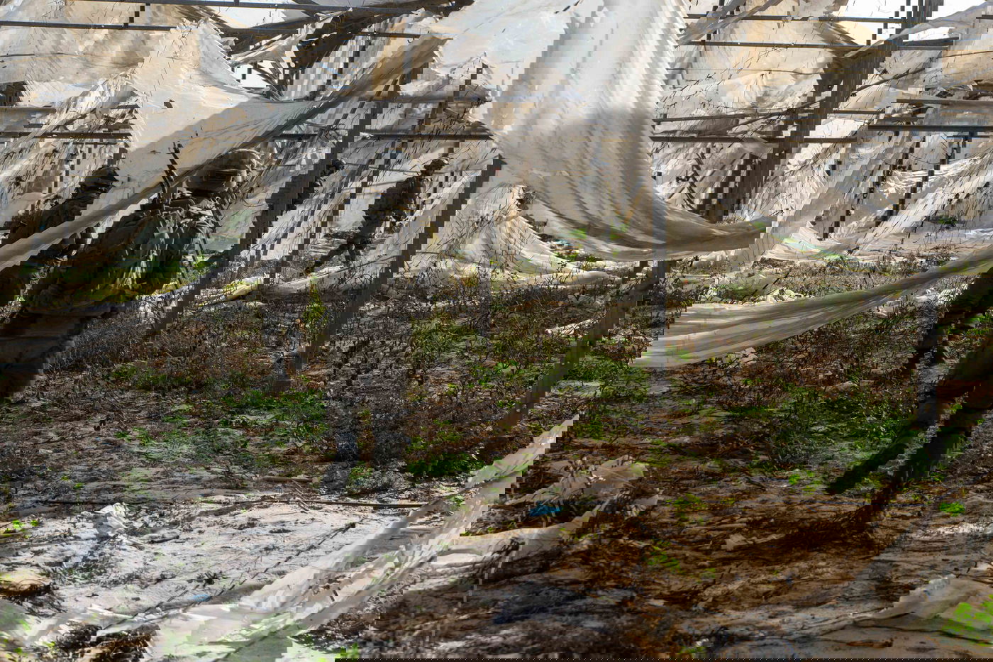 לוחמי צה"ל בעזה