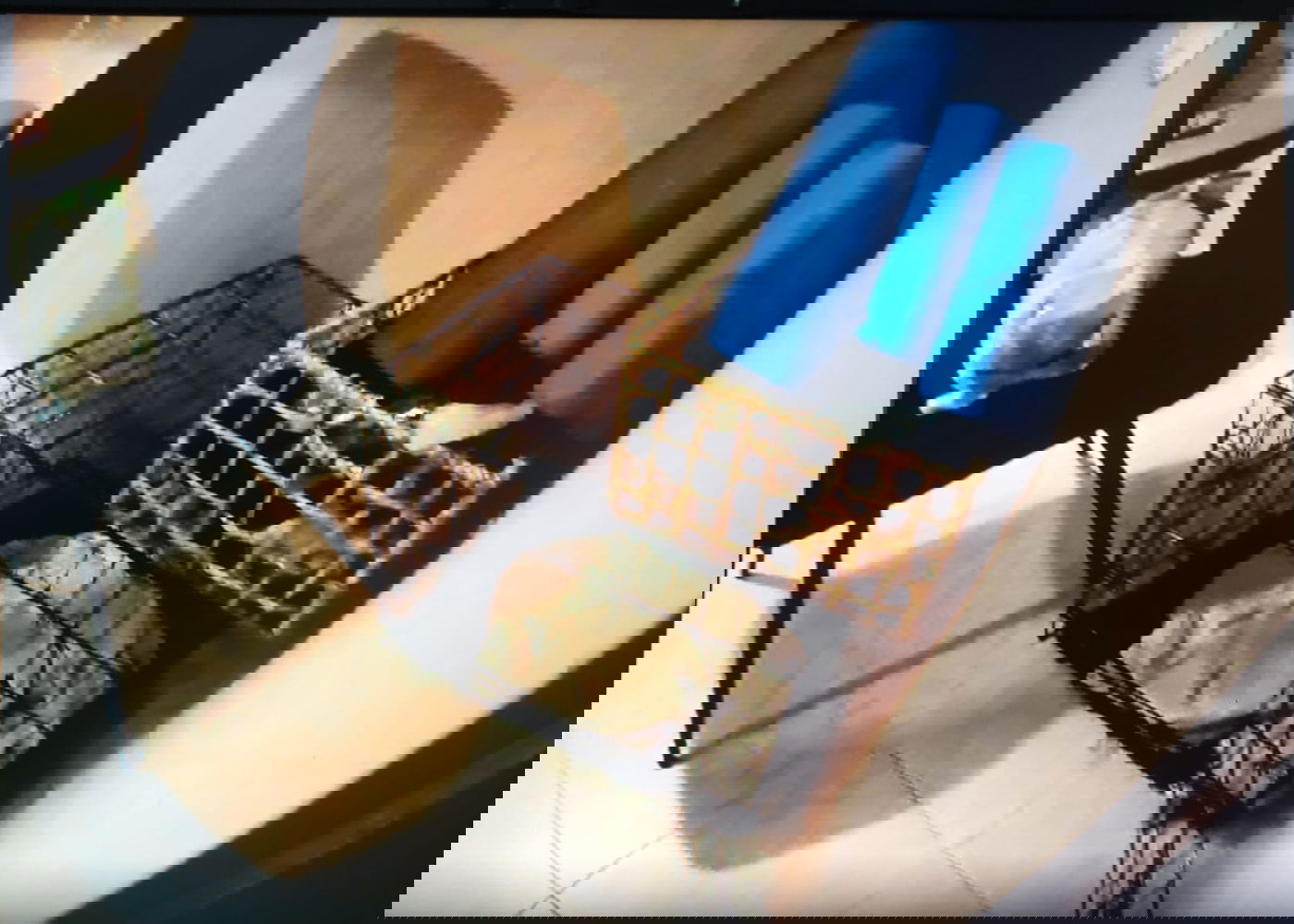 הכלוב שהם כלאה את הילדים