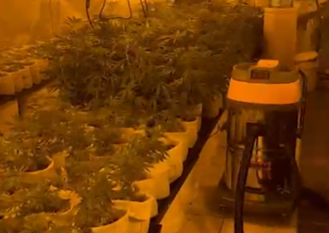 התפיסה המשטרתית