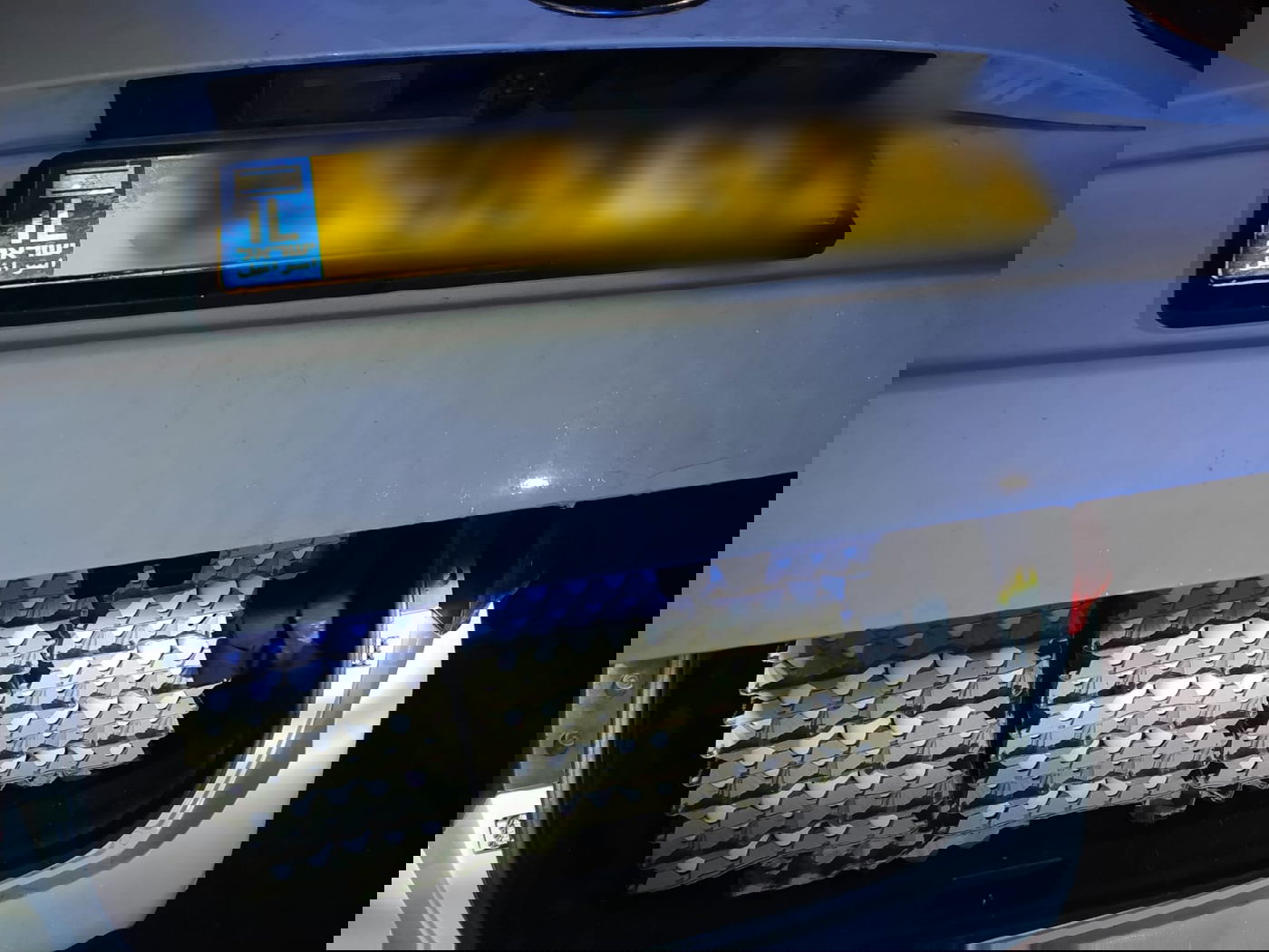 ניסתה להבריח ביצים לתוך הארץ ונתפסה לאחר מרדף | צפו