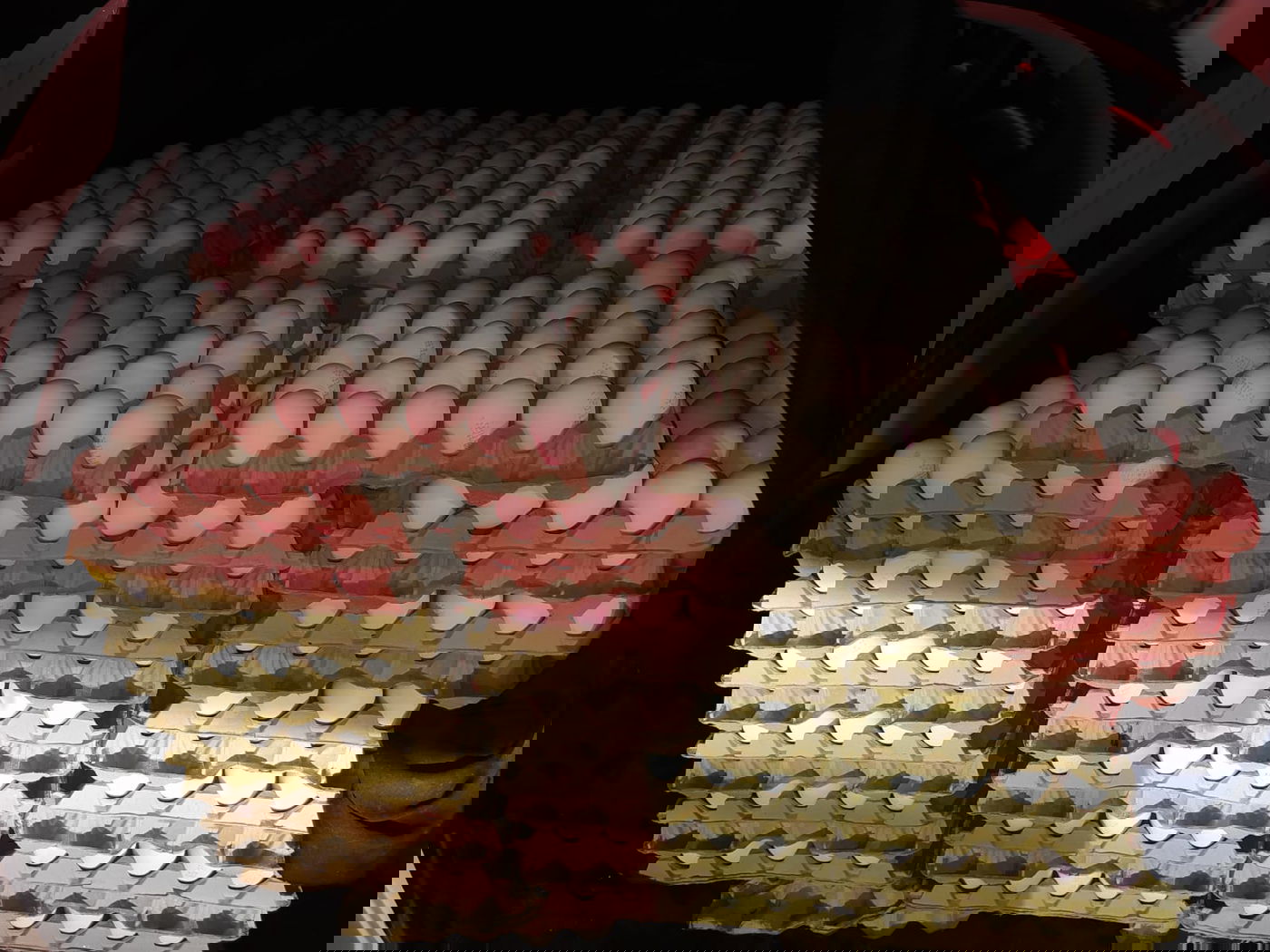 ניסתה להבריח ביצים לתוך הארץ ונתפסה לאחר מרדף | צפו