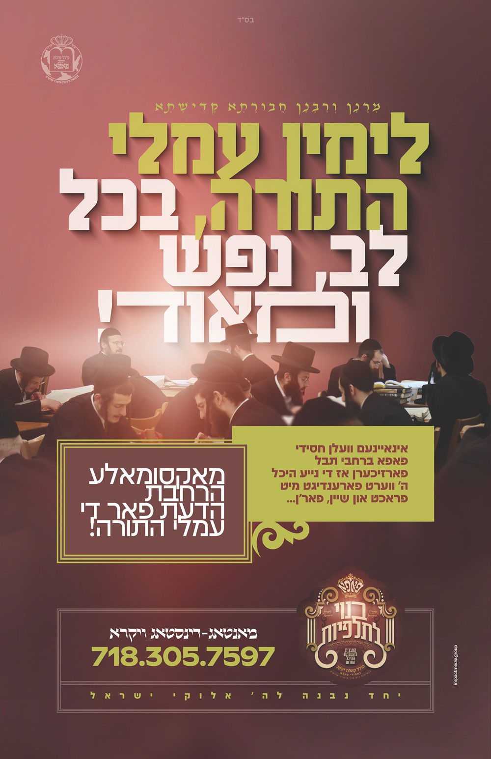 מסיבה של מצווה בחצה"ק פאפא