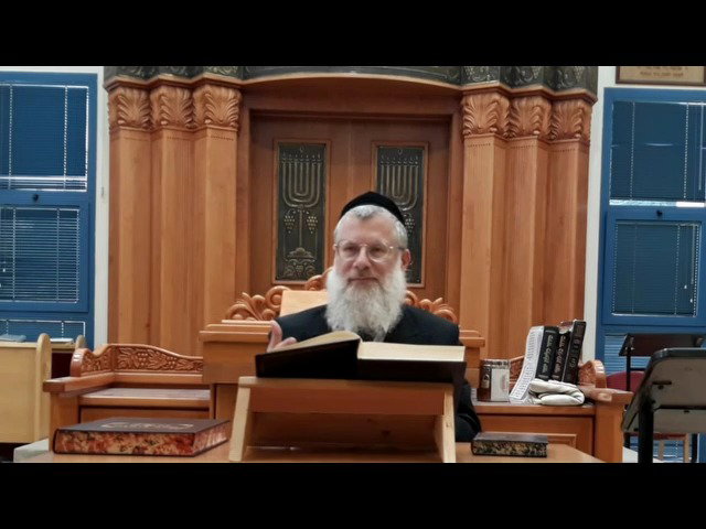 הרב אברהם יוסף שוורץ, על פרשת ויקרא