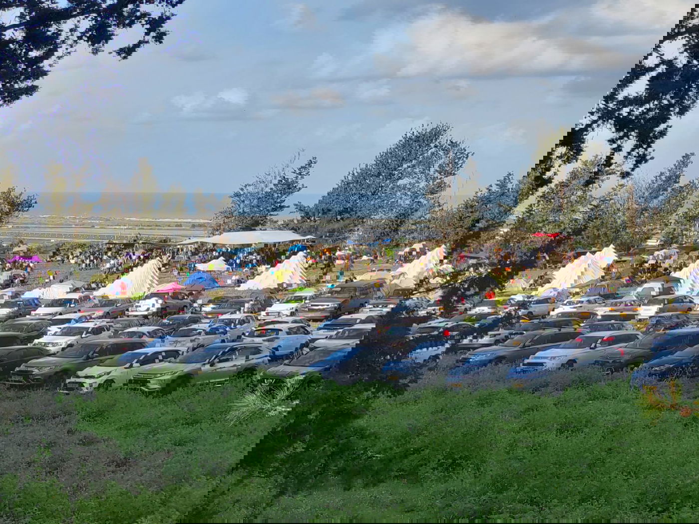 מסיבת הטבע בצפון