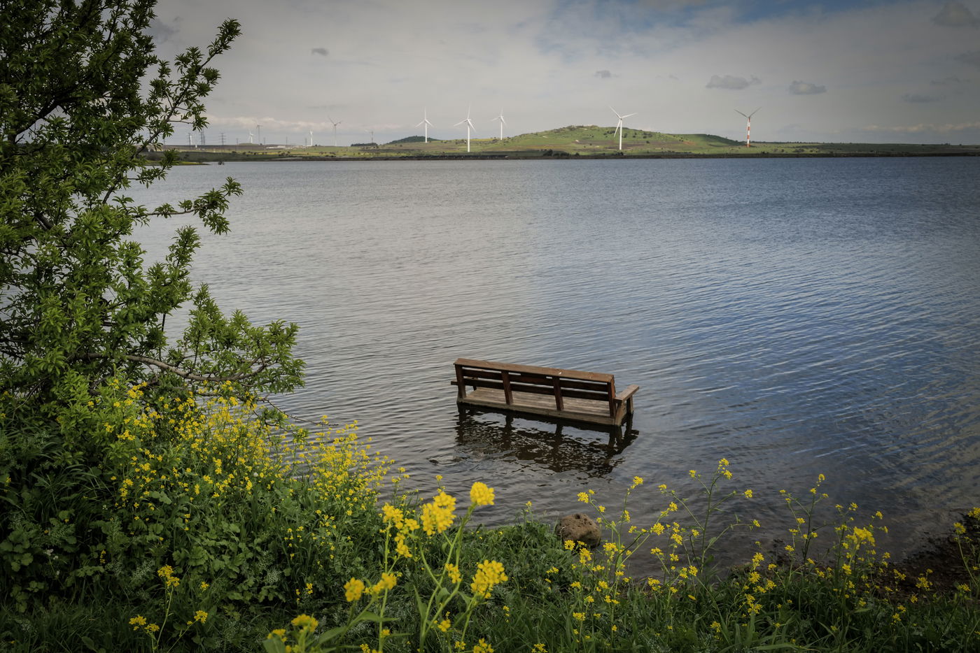 התחזית לפורים: גשם מקומי קל בצפון ובמרכז