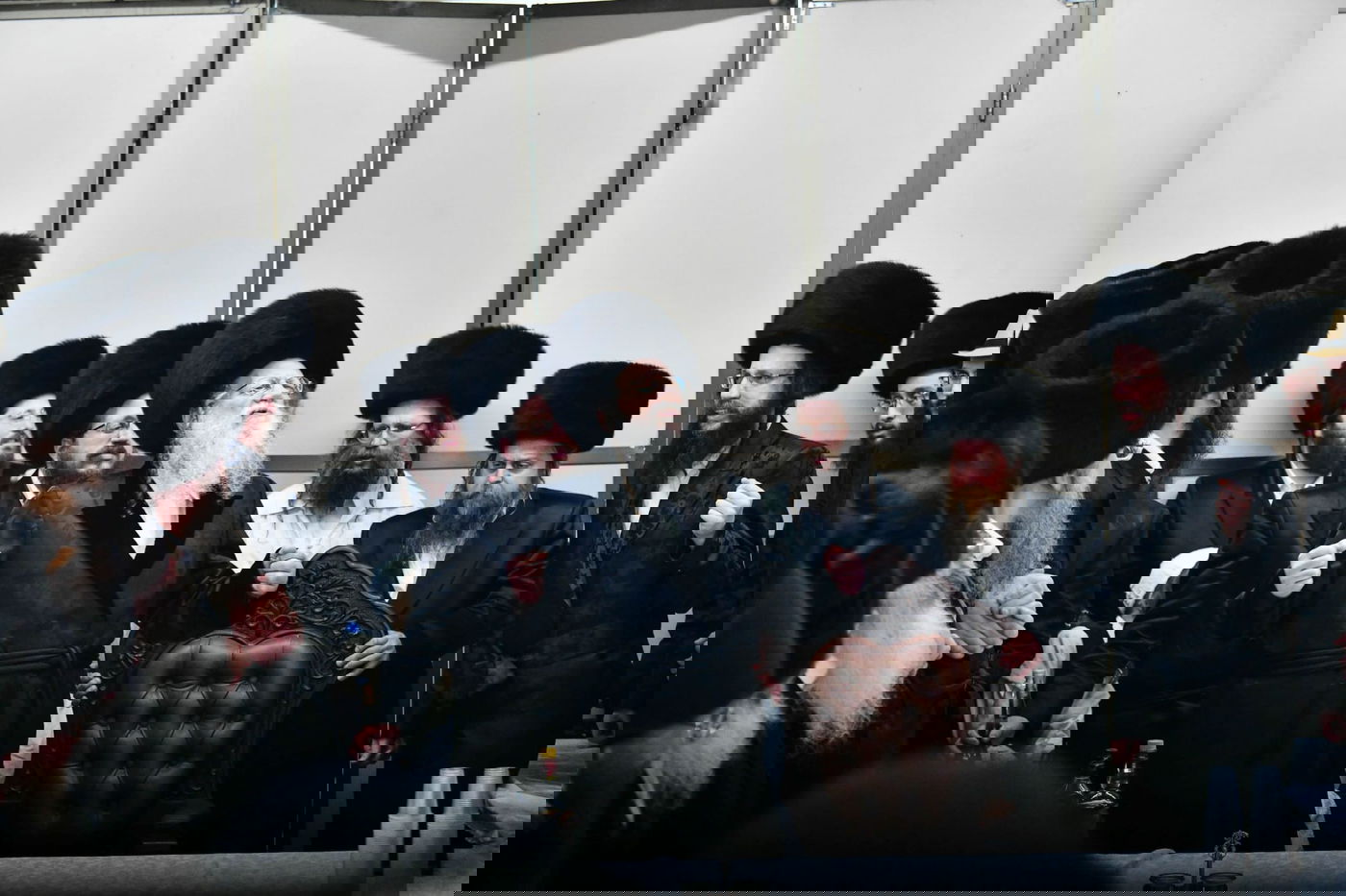 טיש פורים בחצר הקודש מודז'יץ