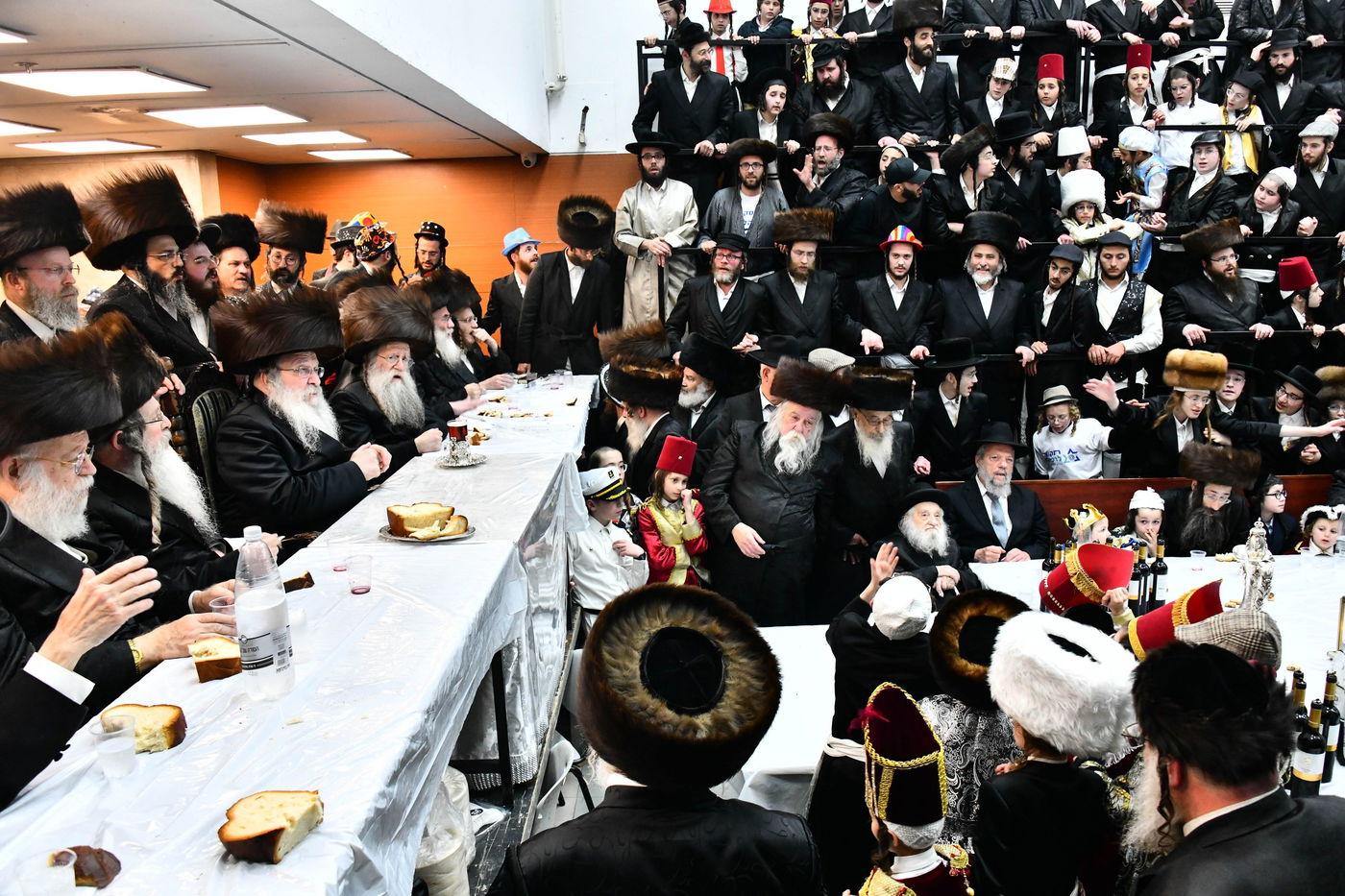 טיש פורים בנדבורנה