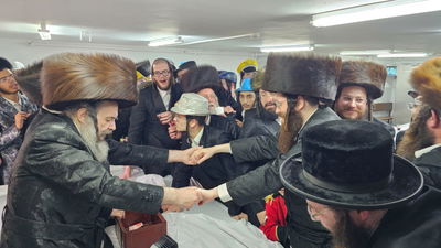 האחים מויז'ניץ בריקוד