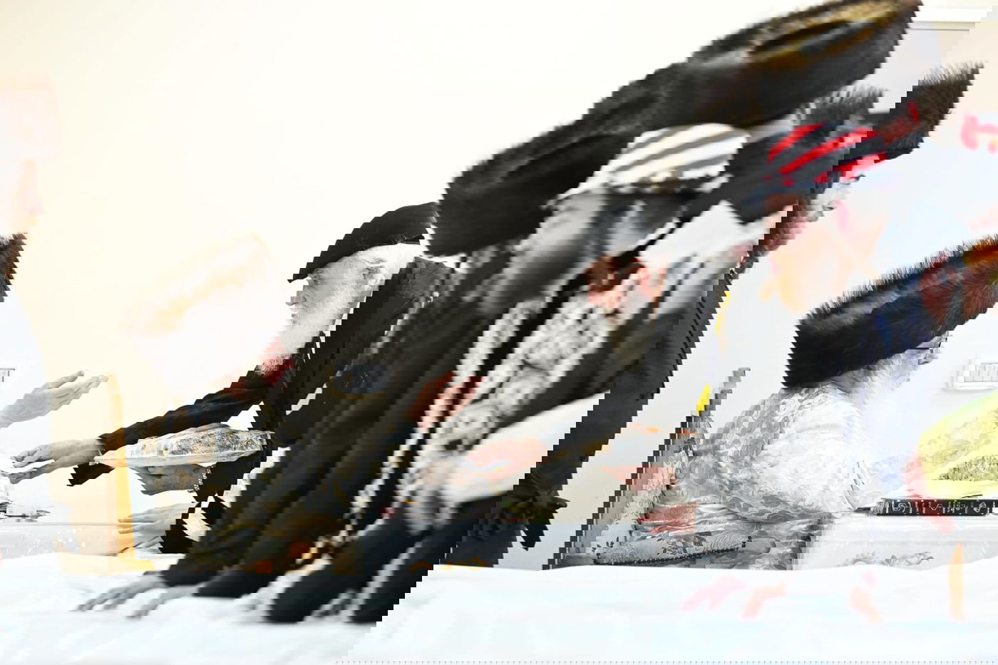 'גילופין טיש': תיעוד מרהיב מפורים בקרית צאנז בנתניה