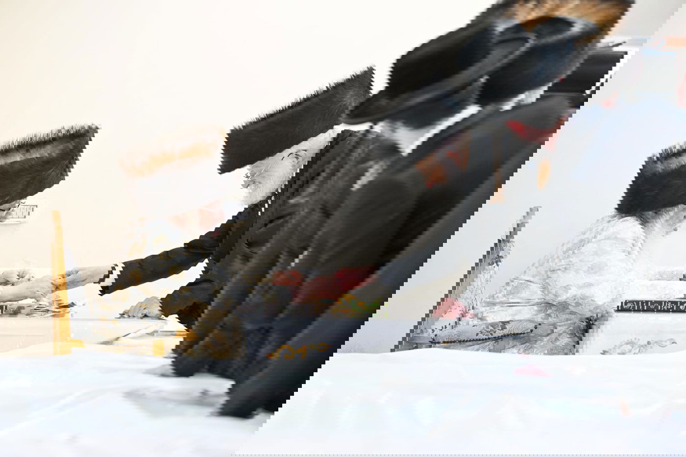 'גילופין טיש': תיעוד מרהיב מפורים בקרית צאנז בנתניה