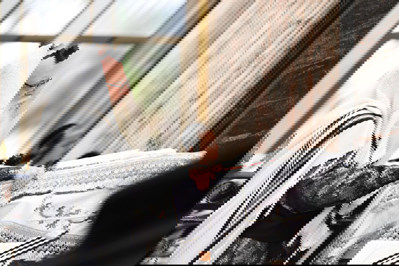 'גילופין טיש': תיעוד מרהיב מפורים בקרית צאנז בנתניה