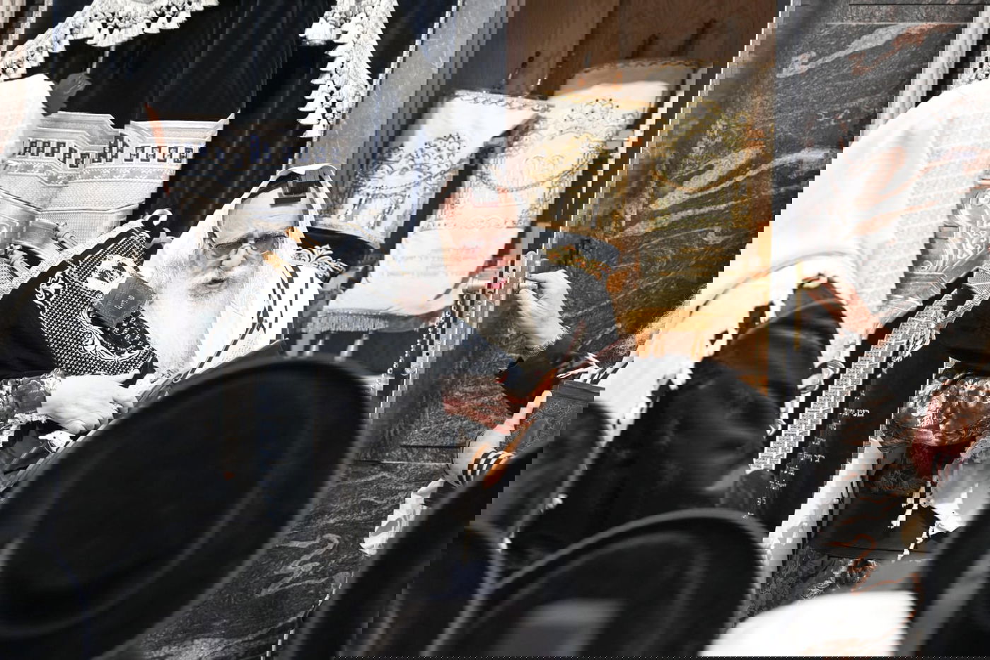 'גילופין טיש': תיעוד מרהיב מפורים בקרית צאנז בנתניה