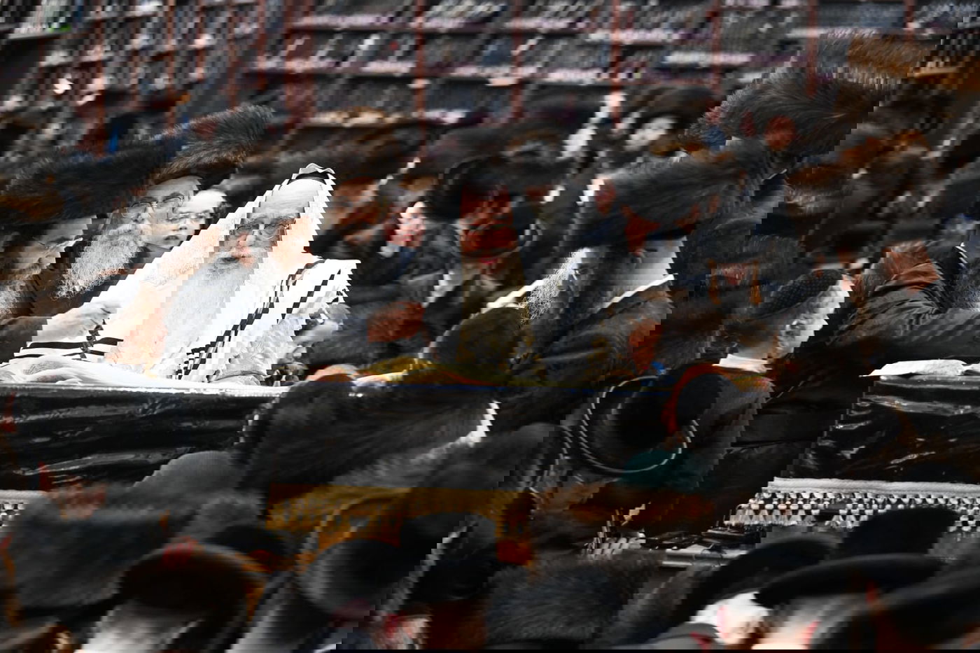 'גילופין טיש': תיעוד מרהיב מפורים בקרית צאנז בנתניה