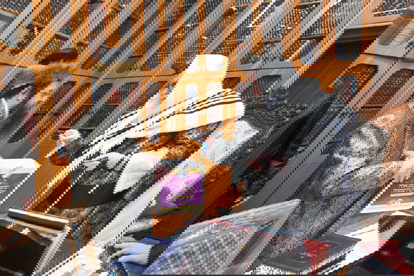 'גילופין טיש': תיעוד מרהיב מפורים בקרית צאנז בנתניה