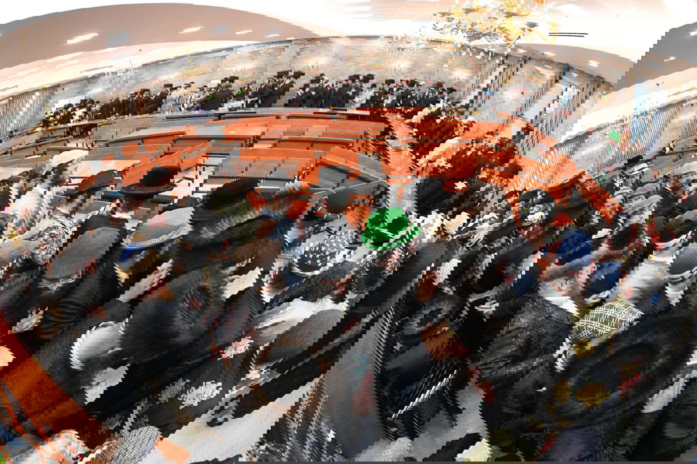 'גילופין טיש': תיעוד מרהיב מפורים בקרית צאנז בנתניה