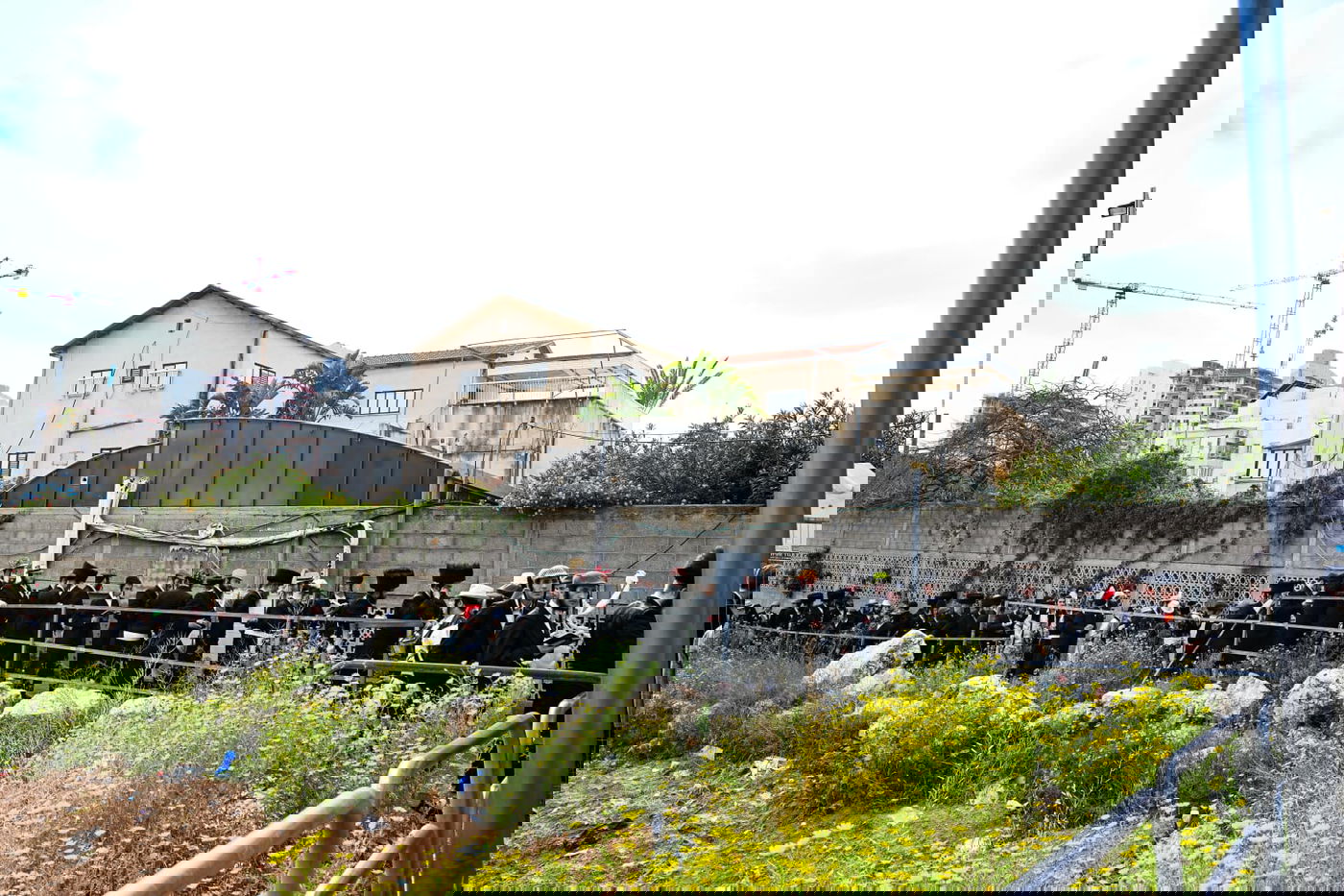 'גילופין טיש': תיעוד מרהיב מפורים בקרית צאנז בנתניה