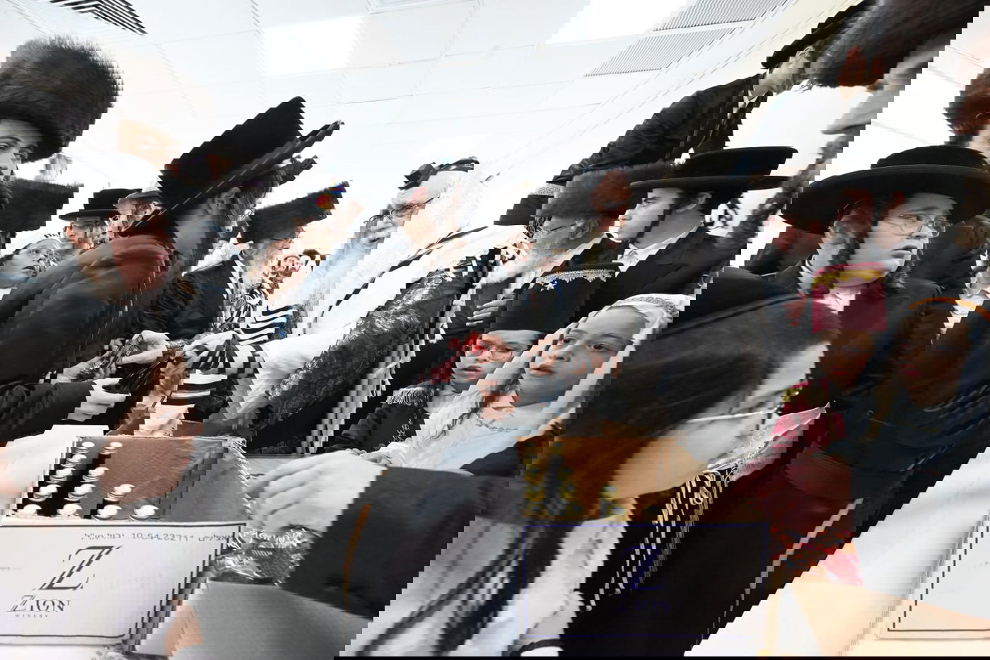 'גילופין טיש': תיעוד מרהיב מפורים בקרית צאנז בנתניה