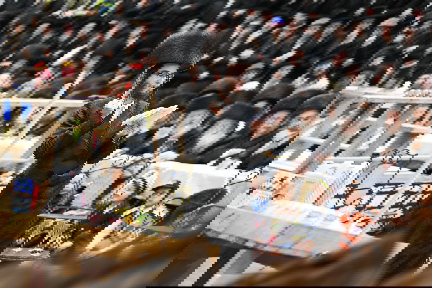 'גילופין טיש': תיעוד מרהיב מפורים בקרית צאנז בנתניה