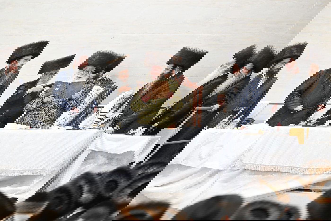 'גילופין טיש': תיעוד מרהיב מפורים בקרית צאנז בנתניה