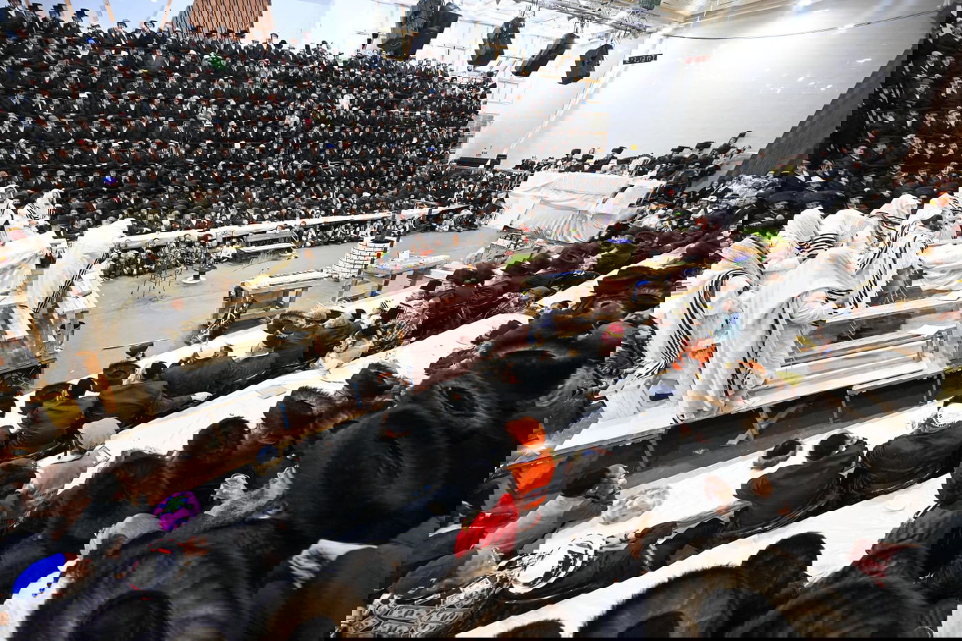 'גילופין טיש': תיעוד מרהיב מפורים בקרית צאנז בנתניה