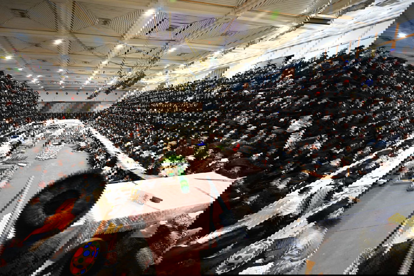 'גילופין טיש': תיעוד מרהיב מפורים בקרית צאנז בנתניה