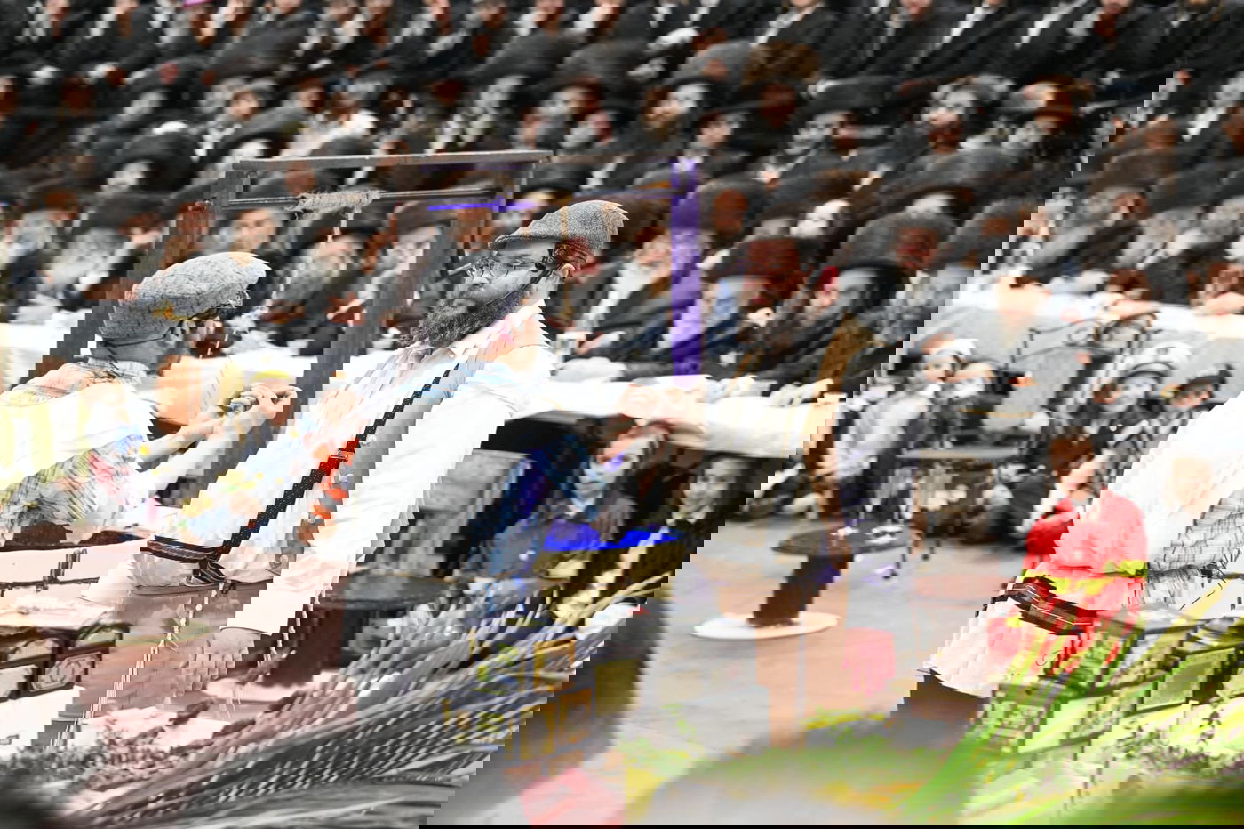 'גילופין טיש': תיעוד מרהיב מפורים בקרית צאנז בנתניה