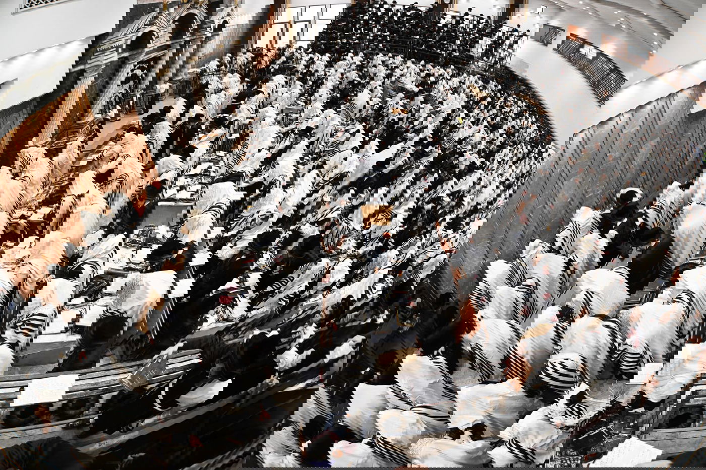 'גילופין טיש': תיעוד מרהיב מפורים בקרית צאנז בנתניה