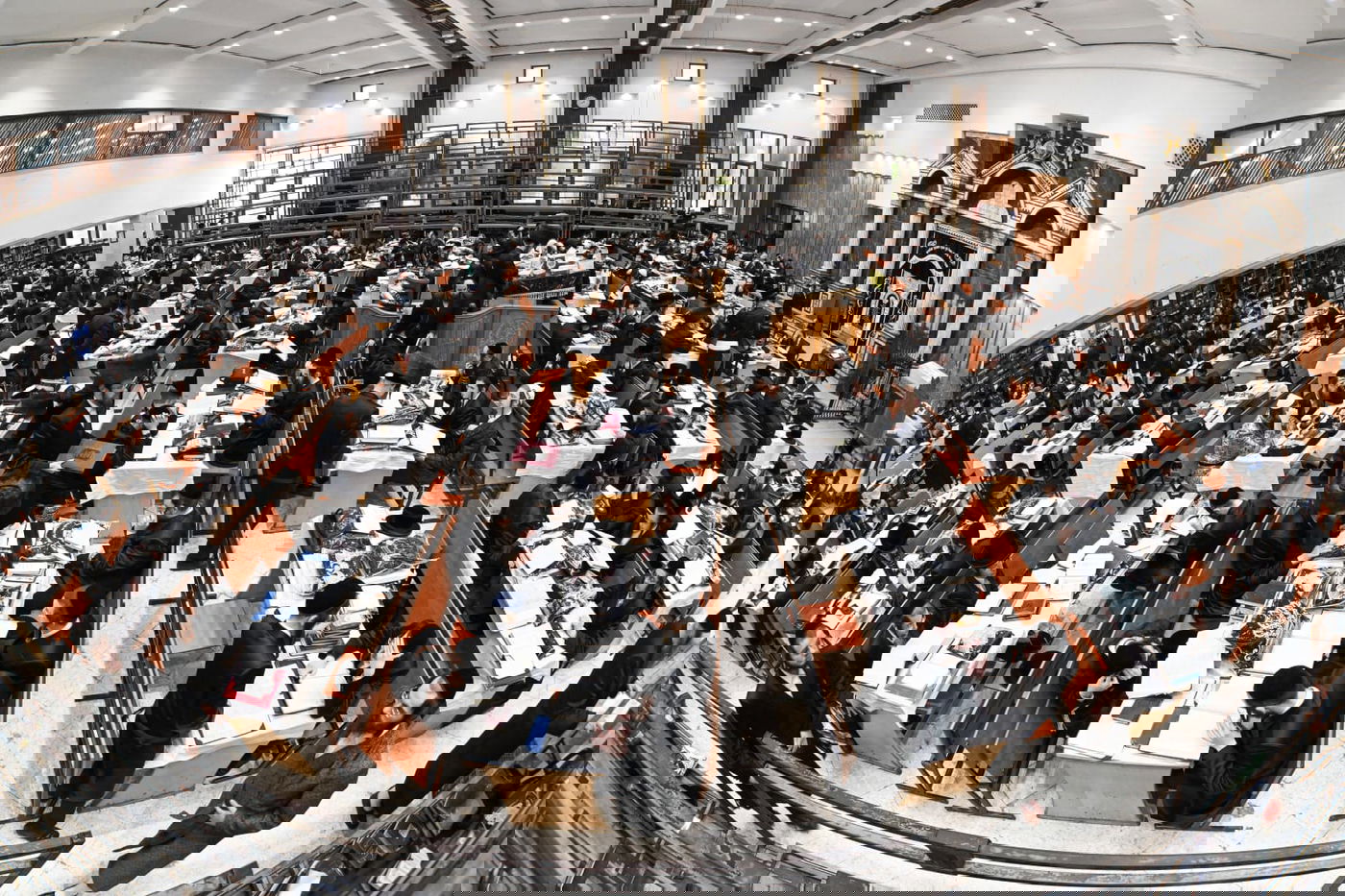 'גילופין טיש': תיעוד מרהיב מפורים בקרית צאנז בנתניה