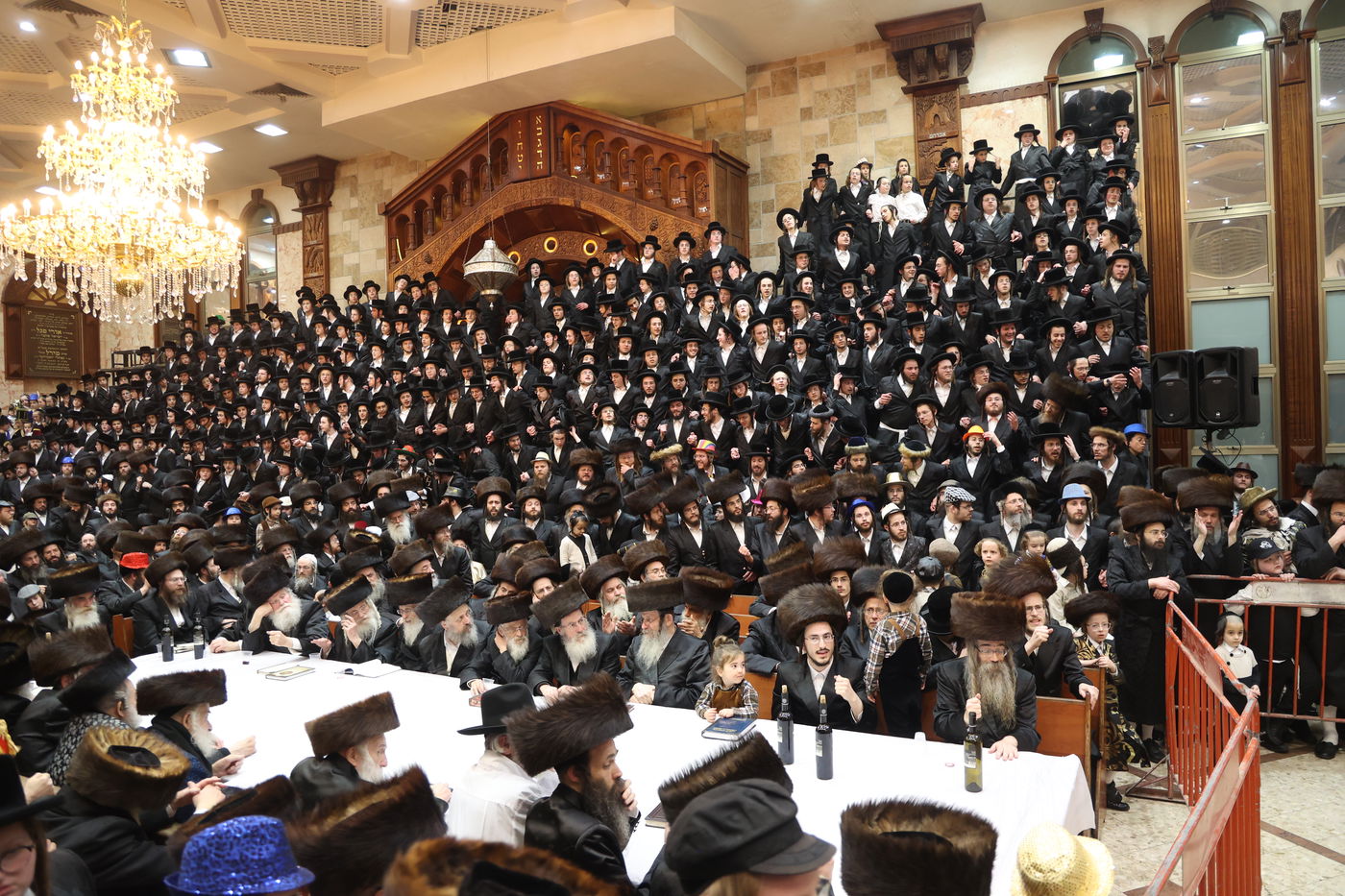 משתה היין בטיש הפורים בחצה"ק דושינסקיא