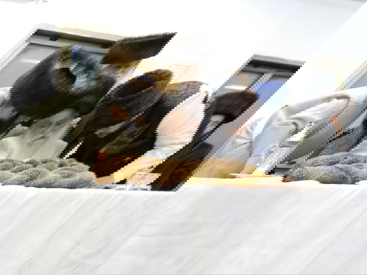 טיש פורים בחצר הקודש בוטשאן