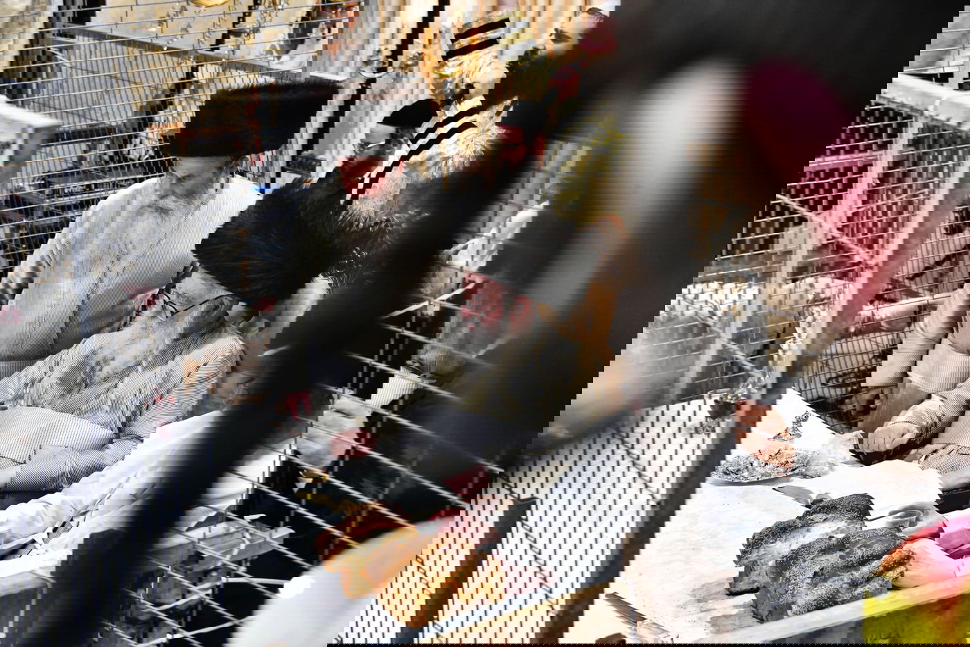 טיש פורים במשכנות הרועים