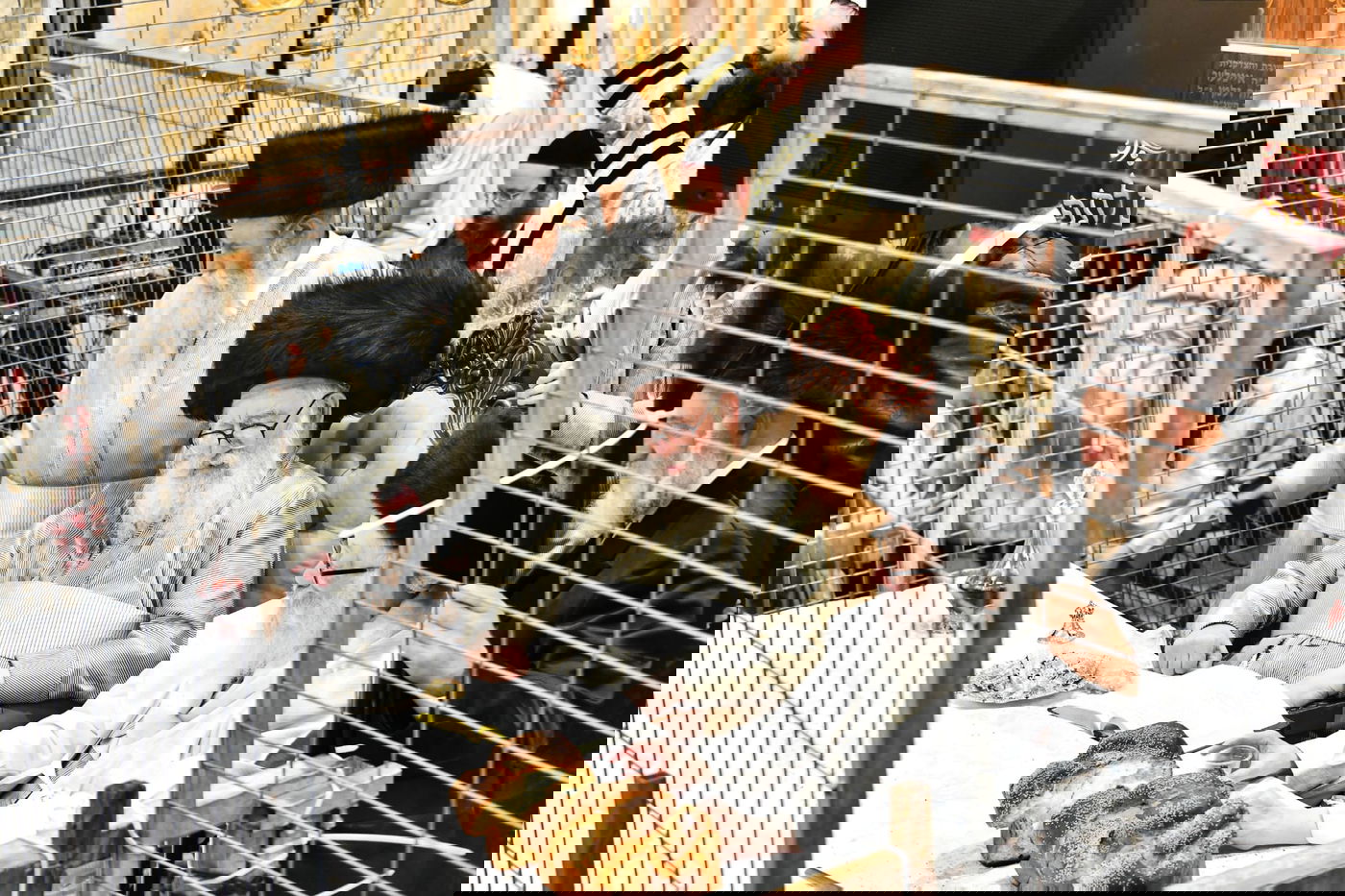 טיש פורים במשכנות הרועים